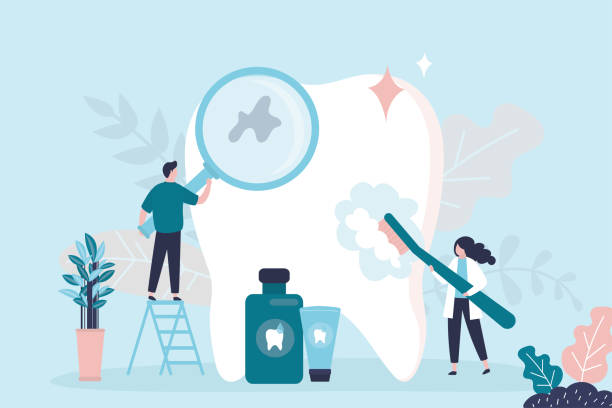 Professional Holistic Dental Care Services in Sausalito, CA